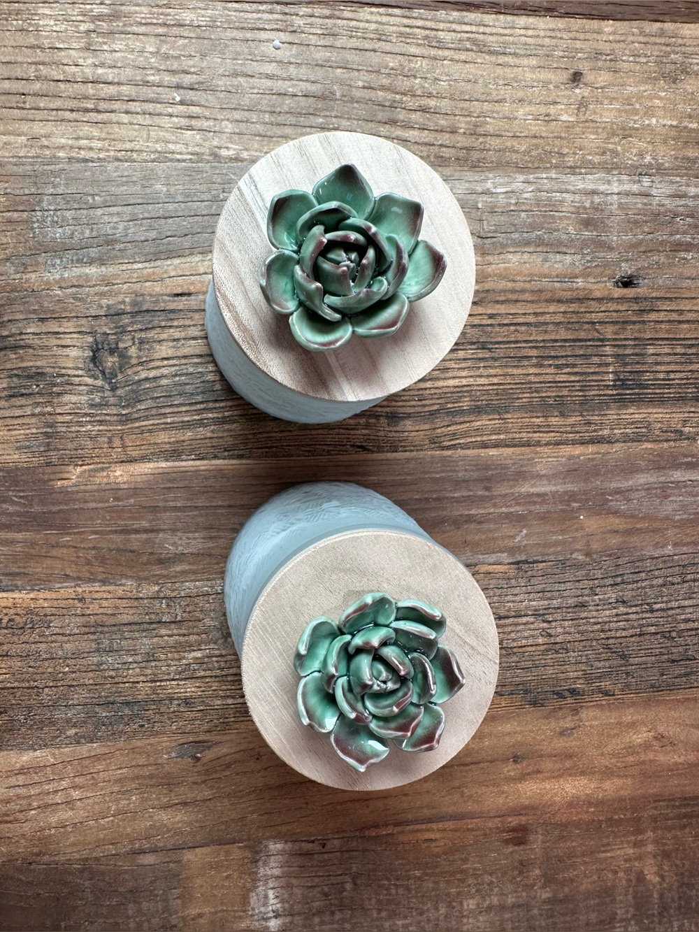 Hand-Poured Sage Green Succulent Jar Candles - Set of 2
